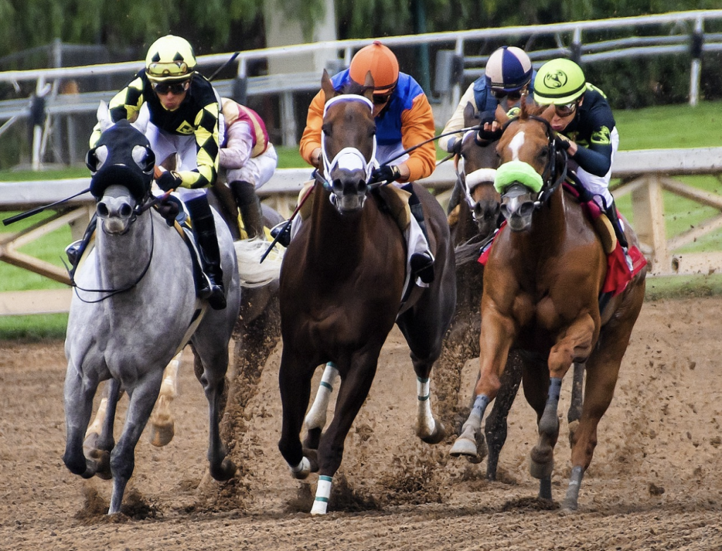 Pegasus World Cup Invitational